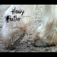 Heavy Feather - Heavy Feather