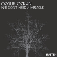Ozgur Ozkan - We Don't Need a Miracle