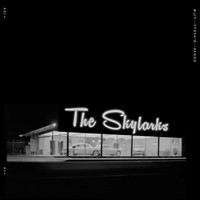 The Skylarks - The Skylarks
