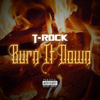 T-Rock - Burn It Down - Single (Explicit)