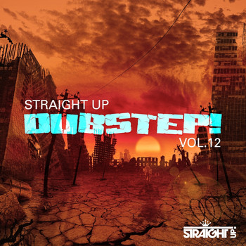 Various Artists - Straight Up Dubstep! Vol. 12