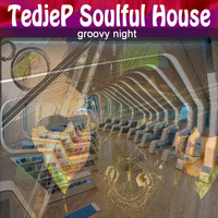 Tedjep Soulful House - Groovy Night