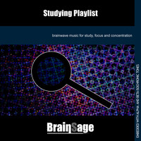 Brainsage - Studying Playlist