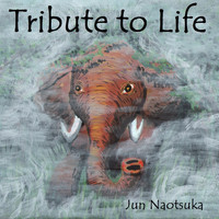 Jun Naotsuka - Tribute to Life