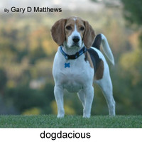 Gary D Matthews - Dogdacious