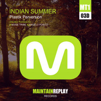 Plastik Perversion - Indian Summer