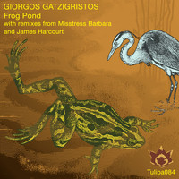 Giorgos Gatzigristos - Frog Pond