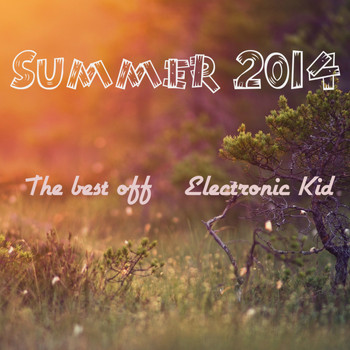Various Artists - Summer 2014 The Best Off Electronic Kid