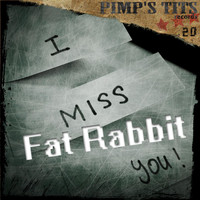 Fat Rabbit - I Miss You