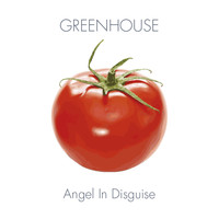 Greenhouse - Angel In Disguise