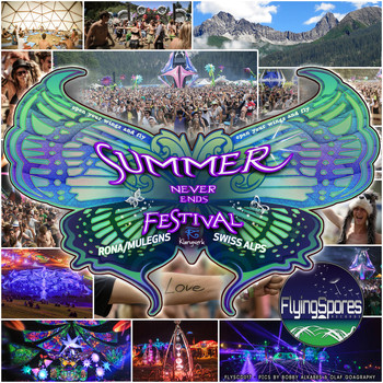 Various Artists - Summer Never Ends Festival
