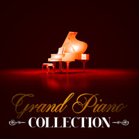 Franz Schubert - Grand Piano Collection
