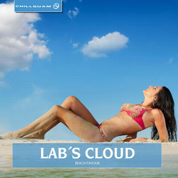 Lab s Cloud - Beach Favour