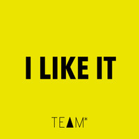 Team - I Like It - Single