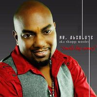 Mr. Absolute - Smells Like Money