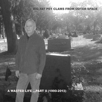 The Big Fat Pet Clams From Outer Space - A Wasted Life, Part II: 1990-2013