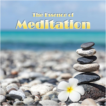Various Artists - The Essence of Meditation