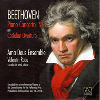 Ama Deus Ensemble - Beethoven Piano Concerto No. 3  (Live)