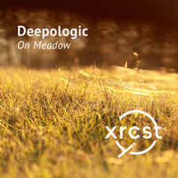 Deepologic - On Meadow
