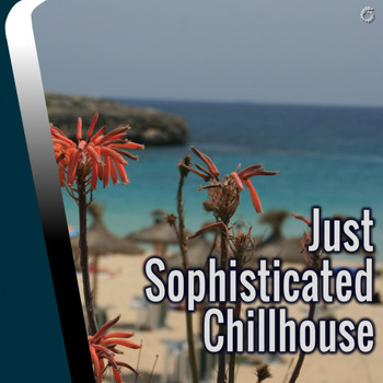 Various Artists - Just Sophisticated Chillhouse