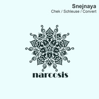 Snejnaya - Chek / Schleuse / Convert