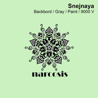 Snejnaya - Backbord / Gray Paint / 9000 V