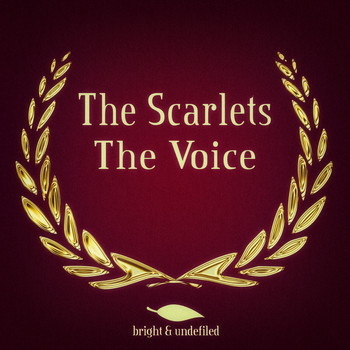 The Scarlets - The Voice