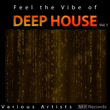 Various Artists - Feel the Vibe of Deep House, Vol. 1