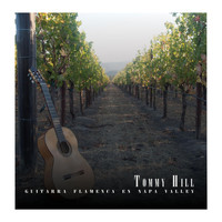Tommy Hill - Guitarra Flamenca en Napa Valley