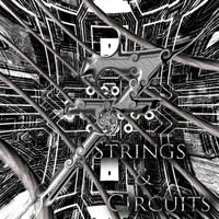 7 - Strings & Circuits