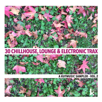 Various Artists - 30 Chillhouse, Lounge & Electronic Trax - A Kutmusic Sampler, Vol. 2