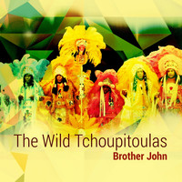The Wild Tchoupitoulas - Brother John