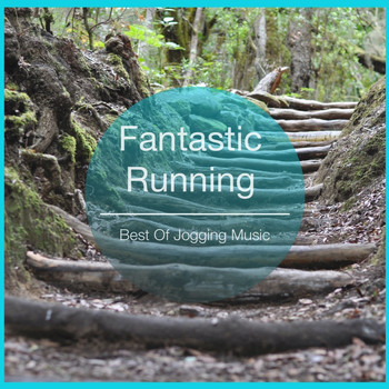 Various Artists - Fantastic Running (Best of Jogging Music)