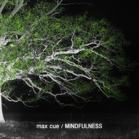 Max Cue - Mindfulness