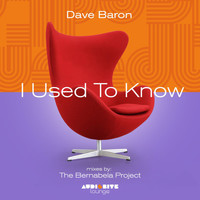 Dave Baron - I Used to Know