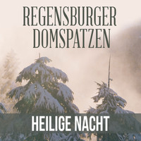 Regensburger Domspatzen - Heilige Nacht