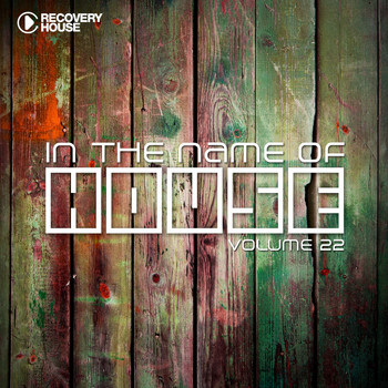 Various Artists - In the Name of House, Vol. 22