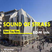 Bdm Ink - Sound of Strass - Need You Now