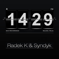 Radek K, Syndyk - Something About Control