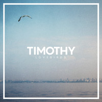 Timothy - Lovebirds