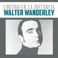 Walter Wanderley - Solamente una Vez