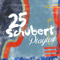 Franz Schubert - 25 Schubert Playlist