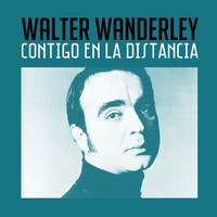 Walter Wanderley - Contigo en la Distancia