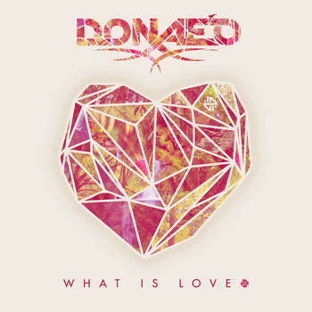Donae'o - What Is Love (Radio Edit)