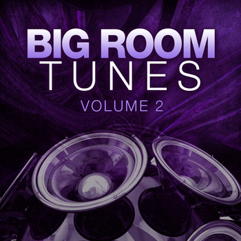 Various Artists - Big Room Tunes 02