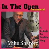 Mike Shapiro - In the Open