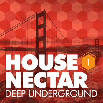 Various Artists - Underground House Nectar, Vol. 1