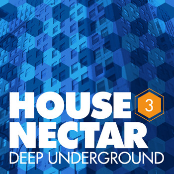 Various - Underground House Nectar, Vol. 3