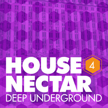 Various - Underground House Nectar, Vol. 4