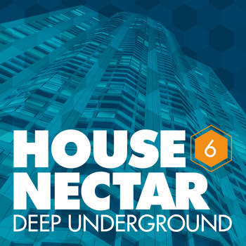 Various Artists - Underground House Nectar, Vol. 6
